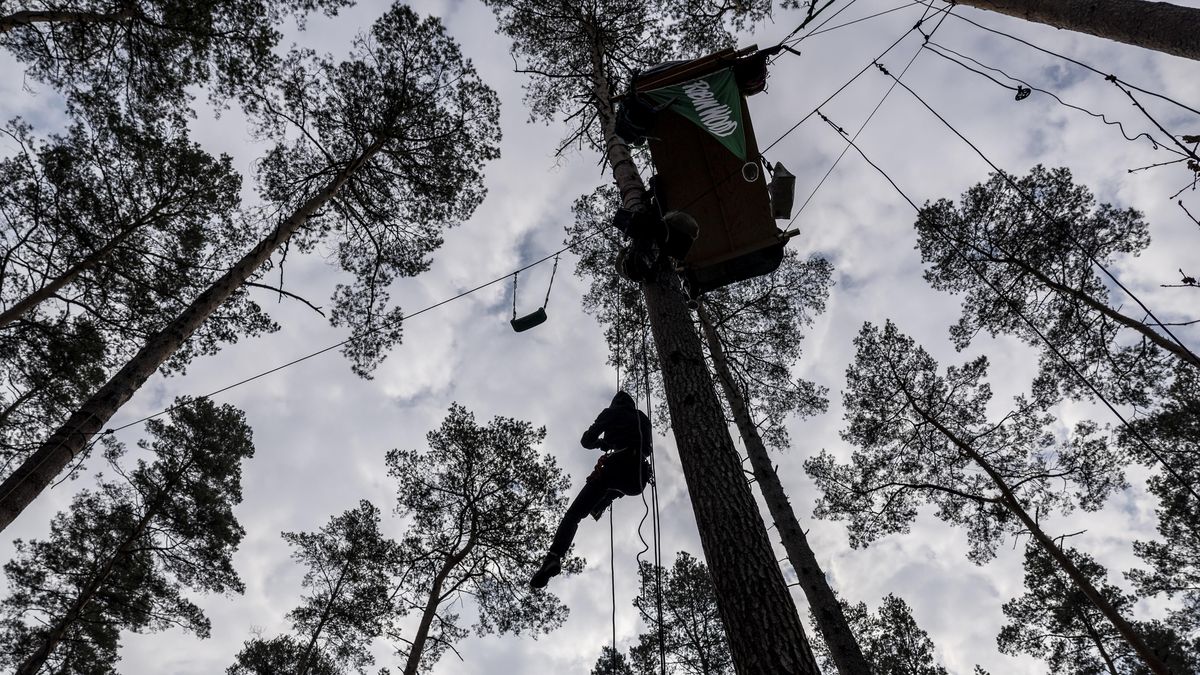 Fotky z okupace lesa: Vylezli na stromy, aby zabránili Tesle růst